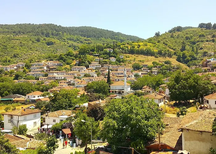 Tas Konak 3* Сельчук